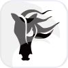 BLACK HORSE INVESTMENT SERVICES (UK) LIMITED(United Kingdom)
