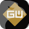 LEADING GLOBE TECHNOLOGY LIMITED(United Kingdom)