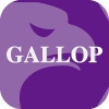 GALLOP INTERNATIONAL GROUP PTY LTD(Australia)