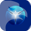 TICKTICKTRADER, LLC(Delaware (United States))