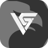 Capital Vision Group, LLC(Missouri (United States))
