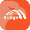 BRIDGE INVEST(France)