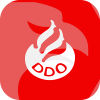 D D O INC(Florida (United States))