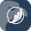 OPTIONAL TRADING COMPANY