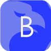 BOURSE CAPITAL PTY LTD(Australia)