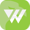 WEALTH FUND SERVICES LIMITED(Cyprus)