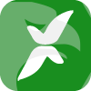 MarketsVox (SC) Ltd