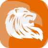 PRO SOLUTION GROUP,INC.(Florida (United States))