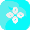ANCHGO LIMITED(United Kingdom)