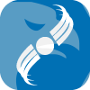 Trade Nexus Inc.(Colorado (United States))