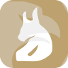 Douglas Financial Limited