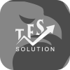 TFS SOLUTION LTD(United Kingdom)