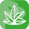 PLANETREE CAPITAL LIMITED(Hong Kong)