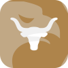 Tradenow(Netherlands)