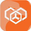 ORBIT NETWORK INC.(Delaware (United States))