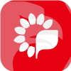 THE CHIBA BANK, LTD.(California (United States))