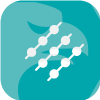 BitKy LLC(Kentucky (United States))