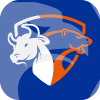 STONE BRIDGE FUNDS, INC.(Maryland (United States))