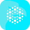 Dev Global LLC(Wyoming (United States))