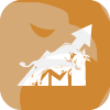 FX BLUECHIP LLC(Arizona (United States))