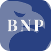 BNP COMPANY, LLC