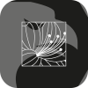 HIBISCUS GROUP LIMITED(United Kingdom)