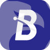 BITASSET B.V.(Netherlands)