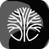 PALM CBD LLC(Massachusetts (United States))