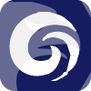 GOLDEN GROUP CONSULTING LIMITED(New Zealand)