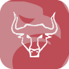BIG BULL FX LTD(United Kingdom)