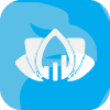GECKO WEALTH LIMITED(United Kingdom)
