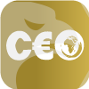 CEO TRADING INTERNATIONAL CORPORATION(Belize)