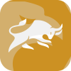 GULFBULLS LTD