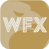 FX WORLD MARKETS IRELAND LIMITED(Ireland)