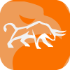 TRADE MARKET CAPITAL LIMITED(United Kingdom)