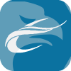 Syntex Capital Investment Ltd