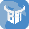 BULL MARKETS INC(Washington (United States))