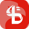 BELLSON GROUP LLC