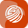 SFM GLOBAL LIMITED(United Kingdom)