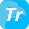FT GLOBAL SERVICES LTD