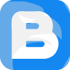 BLUE CHIP INVESTMENTS LLC(New Jersey (United States))