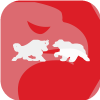 EZY GROUP LIMITED(United Kingdom)