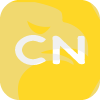 NINE CAPITAL GLOBAL LLC(Delaware (United States))
