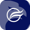 GROBUZZFX LTD