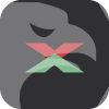 MAXIMUS GLOBAL LIMITED(Seychelles)