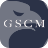 GS FINANCIAL SERVICE LIMITED(New Zealand)