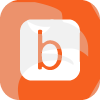 BITRESERVE.ORG LLC(Delaware (United States))