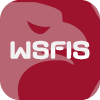 WS FINANCIAL AND INVESTMENT SERVICES LIMITED(Cyprus)