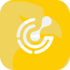 SATOSHIFX LLC