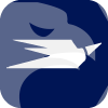 SWIFT TRADER LLC(Delaware (United States))